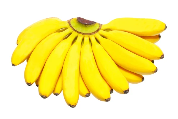 布奇的小香蕉. — 图库照片