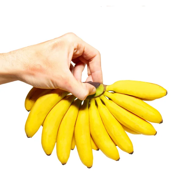 Мякоть маленьких бананов в руке . — стоковое фото