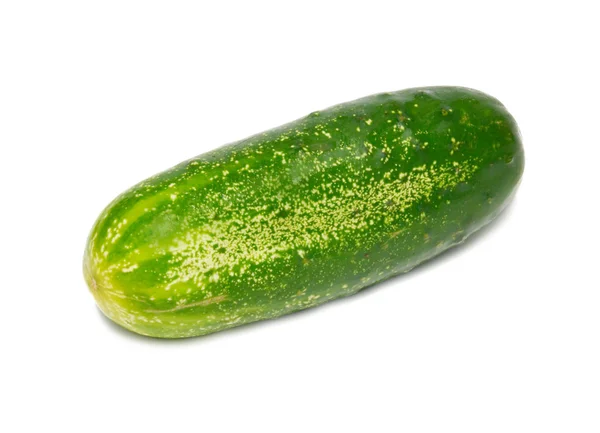 Zelená okurka, izolované na bílém. — Stock fotografie