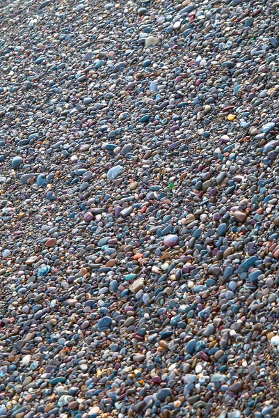 Textured pebble can be used for background. — Stock Photo, Image