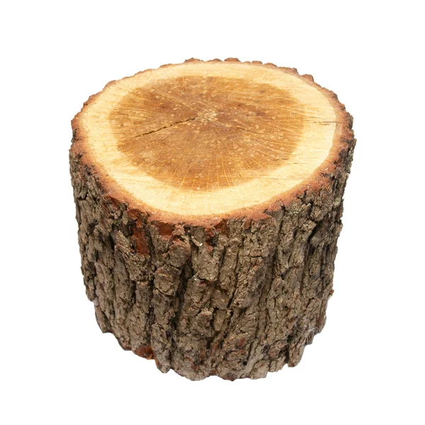 Wooden stump isolated on white. — Stock Photo, Image