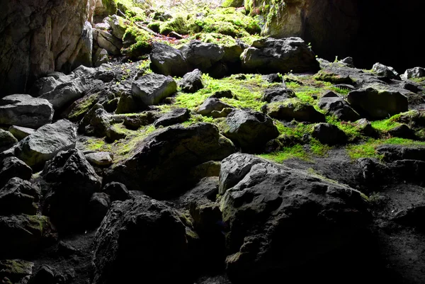 Uitgang van de grot. — Stockfoto
