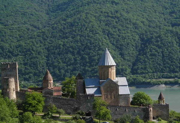 stock image Ananuri castle