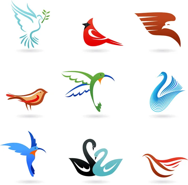 Olika färgglada fåglar — Stock vektor