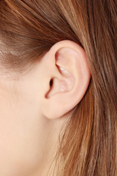 Mujer oreja —  Fotos de Stock