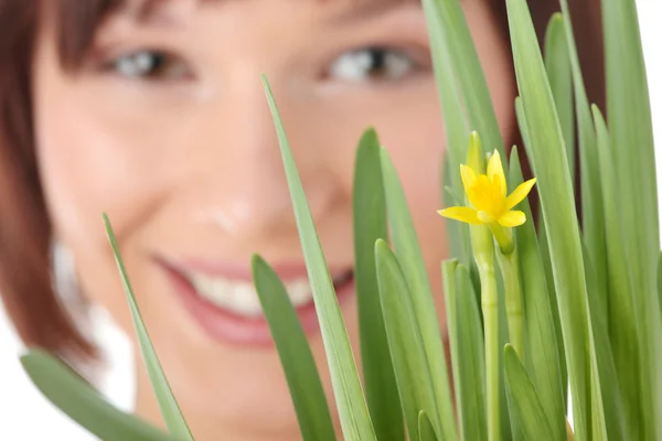 Frühlingsmädchen Mit Blumenporträt Über Weißem Hintergrund Fokus Auf Blume — Stockfoto