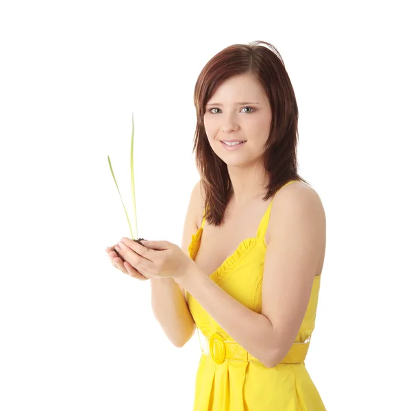 Молода жінка тримає маленьку рослину і грунт — стокове фото