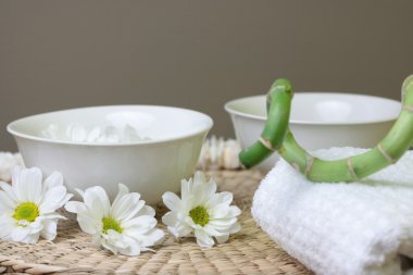 ot ve daisy Spa tasarımı