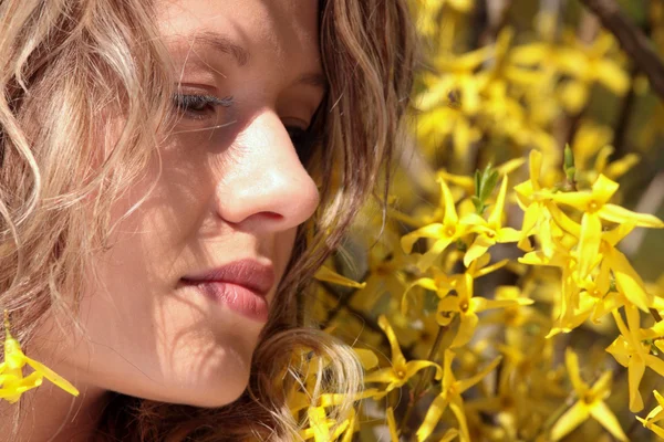 Mujer Joven Rubia Flores Forsitia Amarillas Retrato —  Fotos de Stock