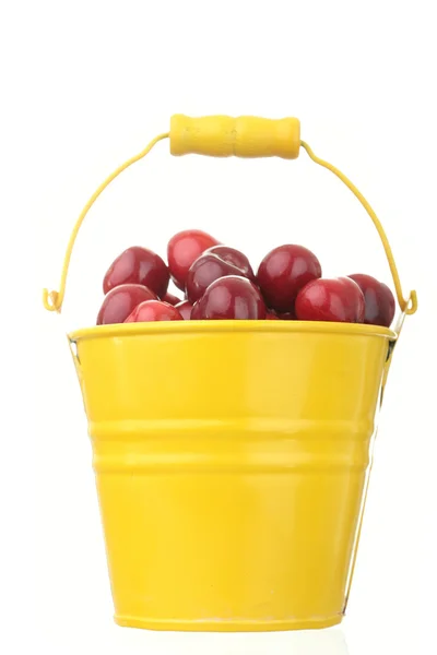 Cherries in colorful yellow metal bucket — Stock Photo, Image