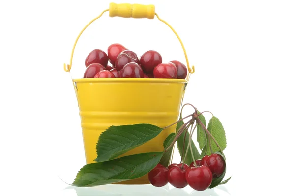 stock image Cherries in colorful yellow metal bucket isolated on white background