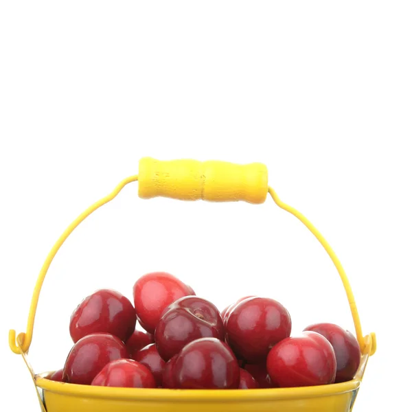 Cherries in colorful yellow metal bucket — Stock Photo, Image
