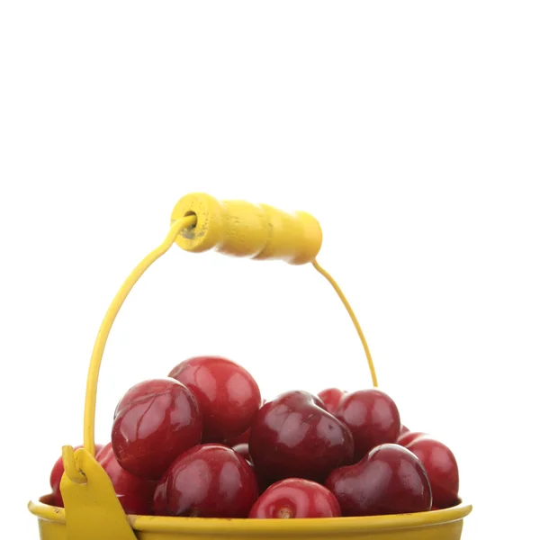 Cherries Colorful Yellow Metal Bucket Isolated White Background — Stock Photo, Image
