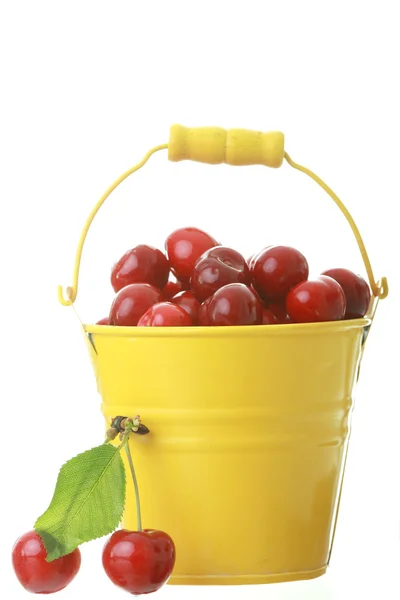 Cheries in colorful yellow metal bucket — Stock Photo, Image