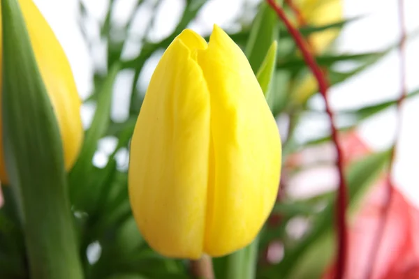 Gelber Tulpenstrauß — Stockfoto