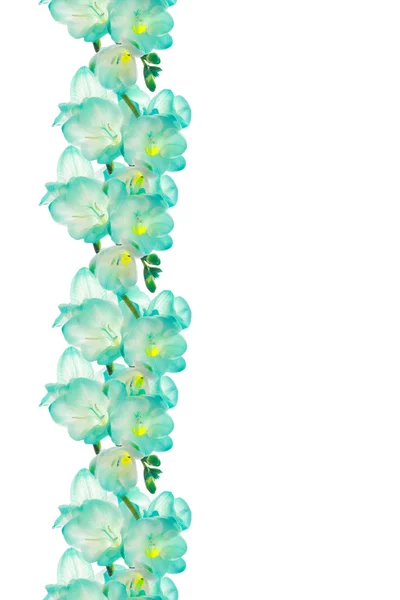 Flower (fresia) border design — Stock Photo, Image