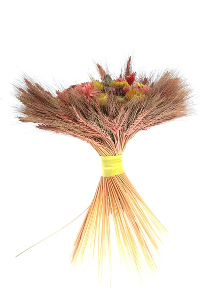 小麦と分離された花の花束 — ストック写真