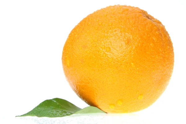 Oranje Met Water Druppels Islolated Wit — Stockfoto