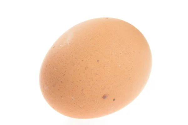 Izole tavuk yumurta — Stok fotoğraf