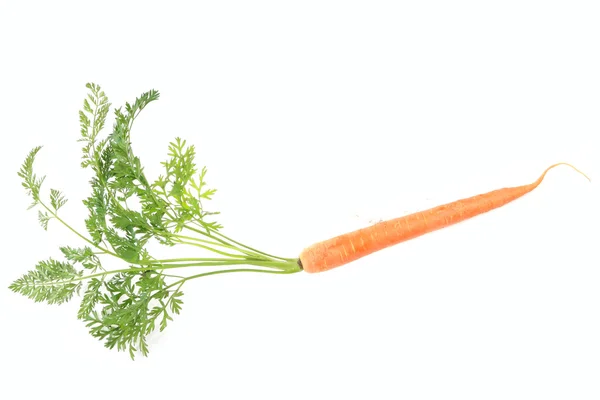 Fresch Carrot Isolated White Background — Stock Photo, Image