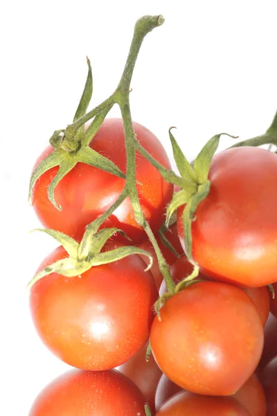 Rød tomat – stockfoto