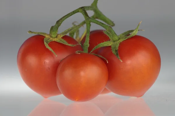 Red Tomatoe Grey Background — Stock Photo, Image