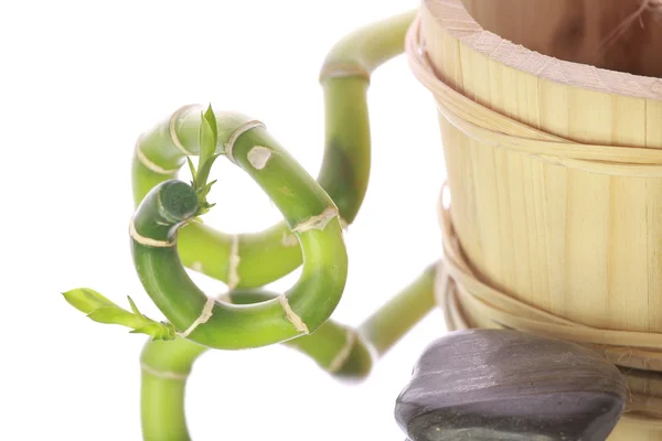 竹と石を白で隔離されるスパ静物 — ストック写真