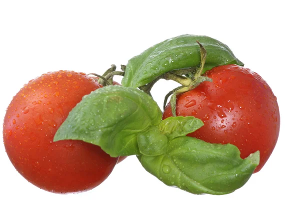 Tomates Cherry Albahaca Frescos Húmedos Aislados Sobre Fondo Blanco — Foto de Stock