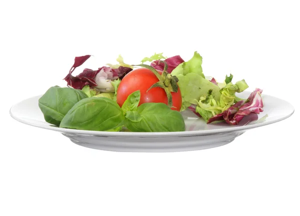 Comida vegetariana (salada de manjericão de tomate ) — Fotografia de Stock