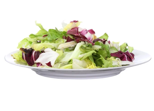 stock image Vegetarian salad