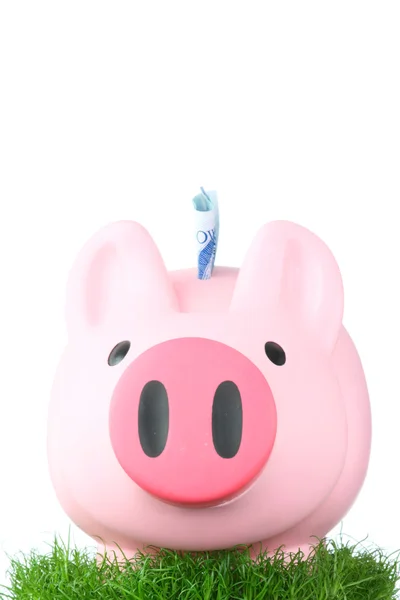 Pink Coin Bank Piggy Bank Moneybox Sitting Grass — Stock Photo, Image