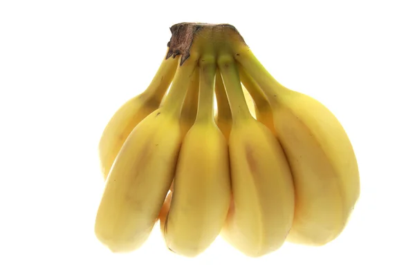 Alimentare Relativo Mazzo Banane Isolato Bianco — Foto Stock