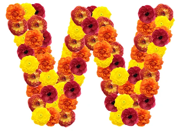 Alfabetet Blommor Isolerad Vit Bakgrund — Stockfoto