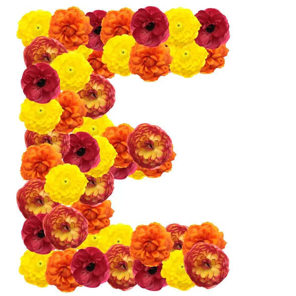 Alfabet kwiaty — Zdjęcie stockowe