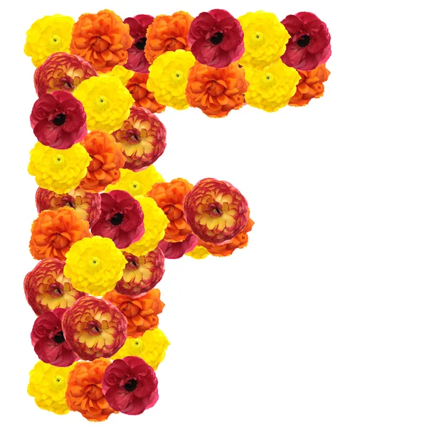 Alfabet kwiaty — Zdjęcie stockowe