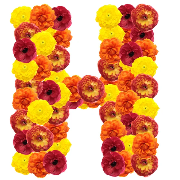 Alphabet Der Blumen Isoliert Auf Weißem Hintergrund — Stockfoto