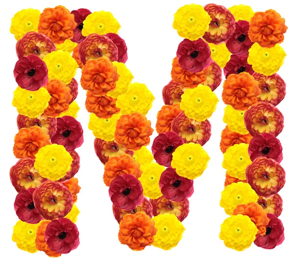 Alphabet of flowers Stock Photo by ©piotr_marcinski 4868321