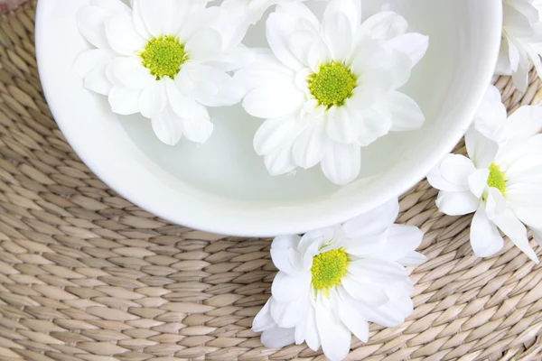 Spa Desain Dengan Herbal Dan Daisy — Stok Foto