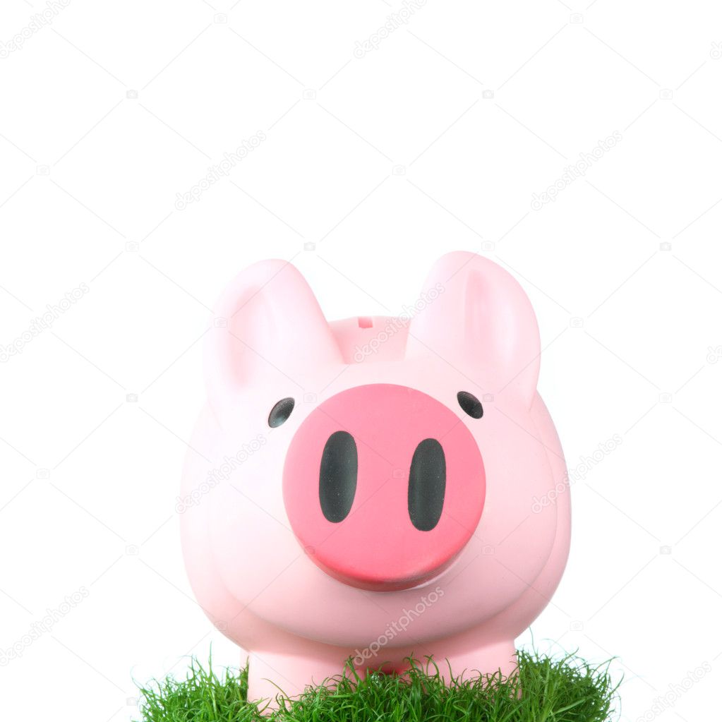 Pink coin bank (piggy bank or moneybox) sitting on grass