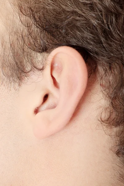 Людина вухо — стокове фото