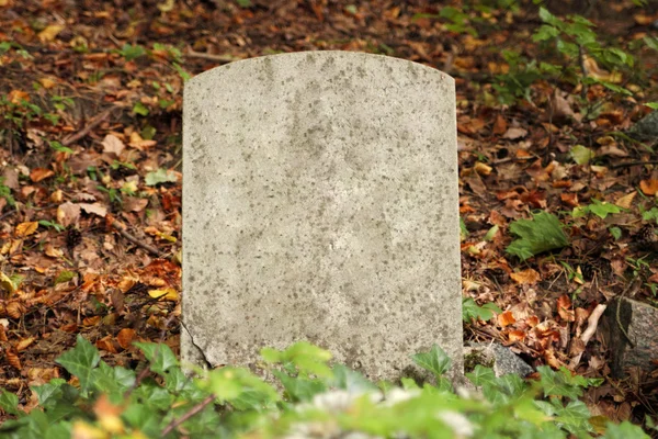 Single old grave — Stock Photo, Image