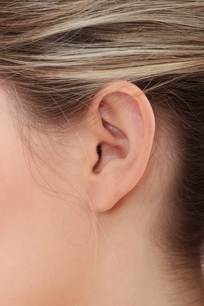Joven caucásico mujer oreja primer plano . — Foto de Stock