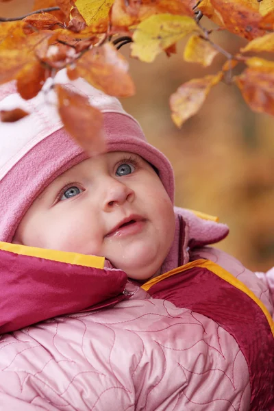 Liten bebis i skogen — Stockfoto