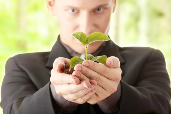 Mannen i kostym håller smal växt i hans händer — Stockfoto