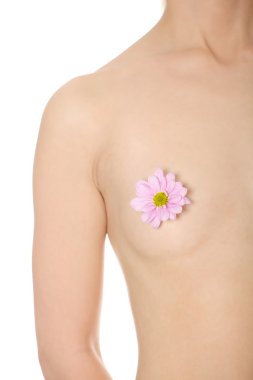 Beautiful nude woman's breast. clipart