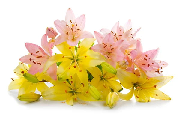 Belo buquê de flores — Fotografia de Stock