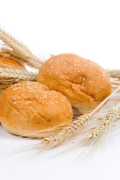 Fresh bread with ears of wheat — Stock Photo, Image