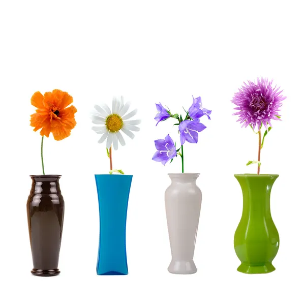 Blumen in einer Vase — Stockfoto