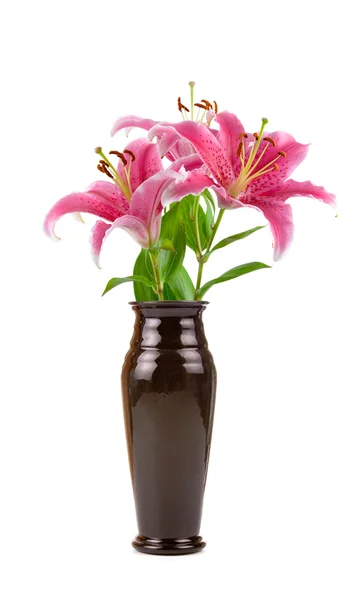 Flor en un jarrón —  Fotos de Stock