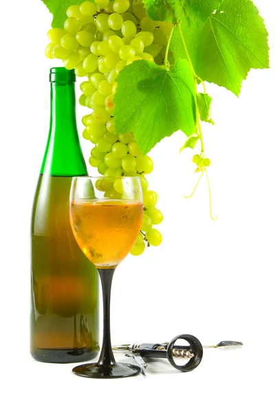 Flasche Wein, Glas und Trauben — Stockfoto